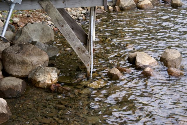 The lake is 14.5 inches below the nail, an inch down from last weekend. sigh. We need more rain.  Lots more.