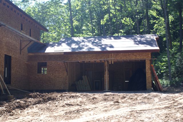 Two car holes have sprouted in the back.