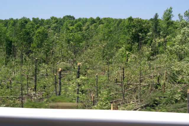 The path of the tornado is easy to see.  It looks like a giant lawn mower with the blade height set to 20 feet was pushed over the hills.  I'll post more and better pictures next week.<br><br><br>-Nemo