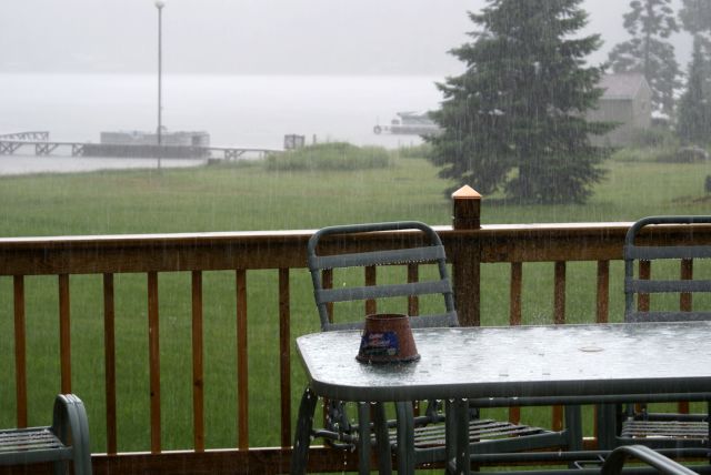 The lake did get some much needed rain last week.  The lake level went up 2 inches to -11 inches wrt the nail.  It was down an inch by the time we left.  We need more rain.