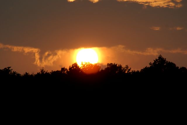 The sunset after the rain on Monday was quite nice.