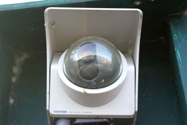 I cleaned some webs off the webcam and it seemed happier for the attention.  As for giving the webcam a name, many wonderful sugestions were sent to me.  It was pointed out that it may cause some confusion to new people to the site to refer to it as Bob or #5, so for now I'll continue to call it the webcam. 