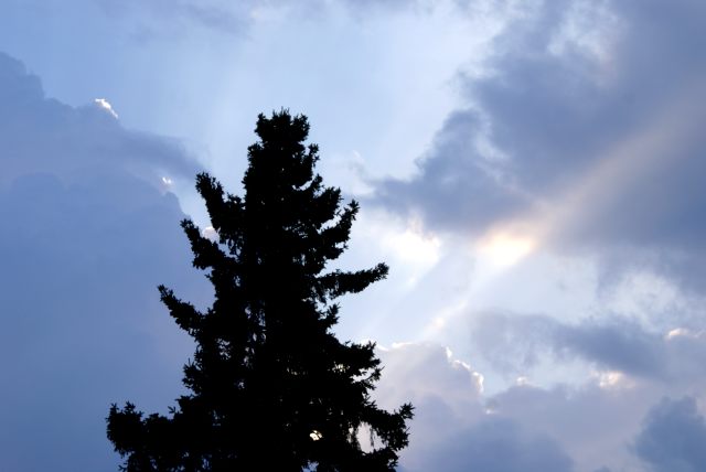 Early in the weekend (Thursday) the lake area had clouds, with the sun peaking out on occasion, and the evening saw storms with the lake getting 1/4 of an inch of rain.  We need more rain.