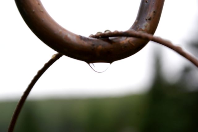 Rain! With a distintive Autumnal feel, fell on Saturday.  It was not much, but more is expected all next week.