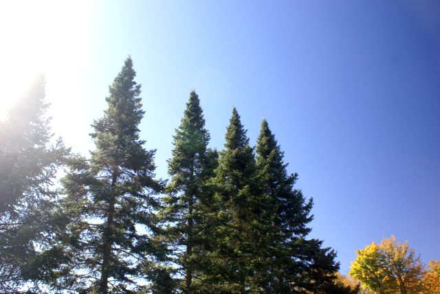 The cold front pushed through by Saturday.  After a cold morning, the temperature rose to near 70°F.  The sky was blue all day.