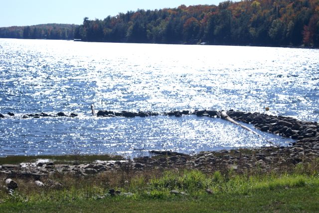 Despite a load of rain, the lake remains very low.  It's about 22 inches below the nail.