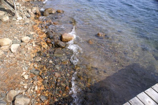 Despite rain on Saturday, the lake level remains low at about 22 inches below the nail.  More rain is predicted this week.  It will help.