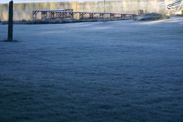 A thick blanket of frost covered pretty much everything by Saturday morning.