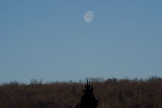 Friday's moonset was just under an hour away as we put on our hats and journeyed onto the ice to start building snow forts.