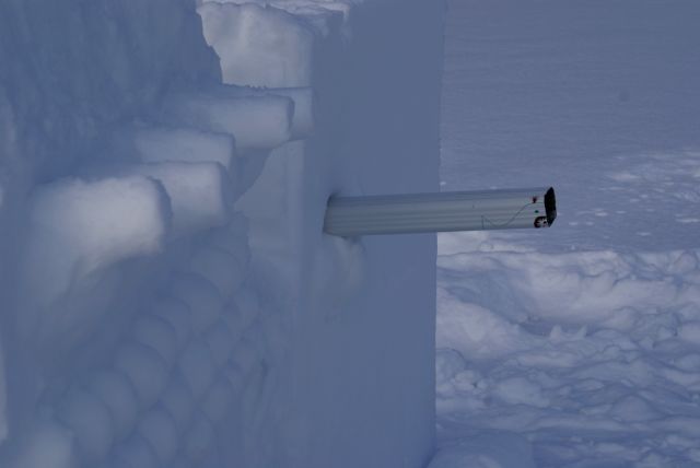 Mrs Nemo reciprocated.