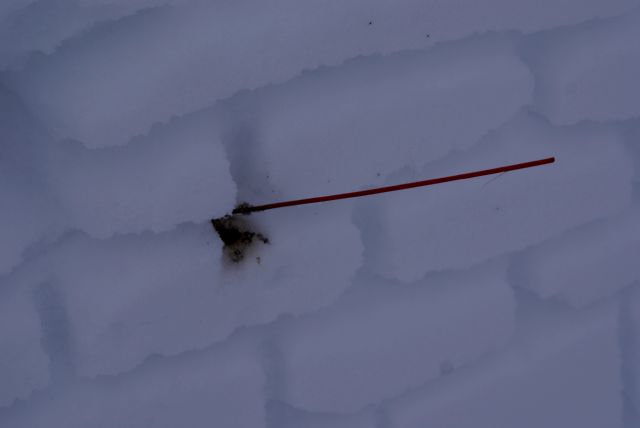 Some of the 2000+ sticks were easier to pickup than others.