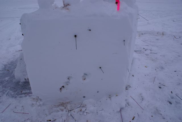 It would seem that Mrs. Nemo had the correct range for this fort.