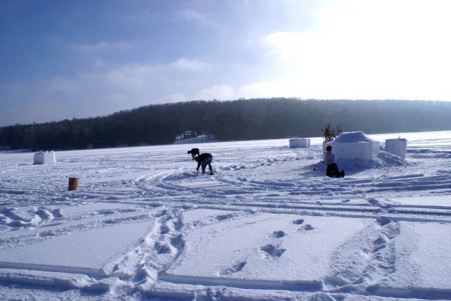 Minions were spoted picking sticks for several hours.