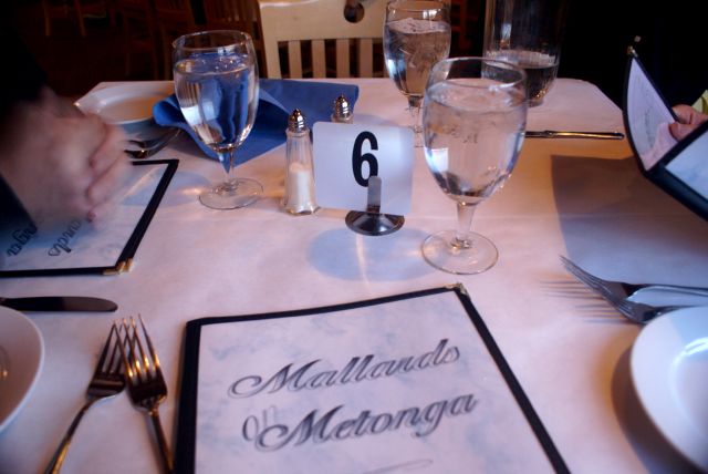 After a preliminary check of the webcam, no obvious cause of its malfunction was found, so we went to eat.  Mallard's on Metonga (the old Lake Metonga Supper Club) has a great fish fry (Haddock $10, Perch $12 (never had the perch though)), friendly service, and a magnificent view.  We ate there.  Before you say it, I really have to update the restaurant reviews.  There just hasn't been enough time to do it right, what with work, applying for gas loans,  and drinking.  So I vow to lay off the sauce and have pedals installed in the car to free up more time.  Anyone know where I can get a V8 to pedal conversion kit for a 96' Suburban?