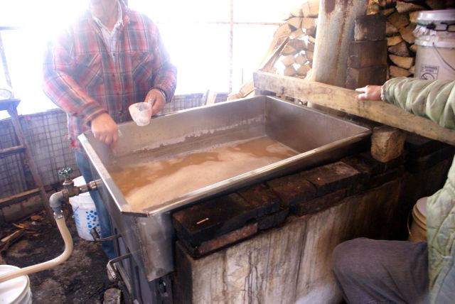 I witnessed a "pull".  Boiled sap is first pulled off and filtered at 3 or 4 to one before the push to syrup.