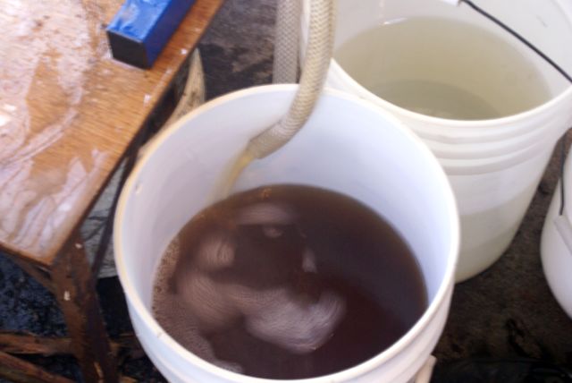 The pre-syrup is collected in 5 gallon pails.  7 to 9 of these buckets are then dumped into the cooker and boiled down to 10+ gallons of maple syrup.