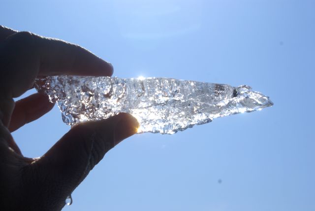 The edge of the ice was not thick enough to support a well fed goose.
