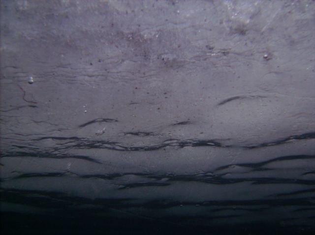 This is the underwater view of the edge.  The water is very cold.