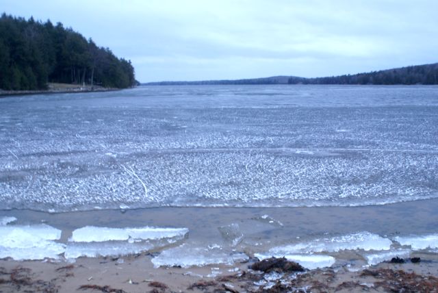 The lake was starting the throws of ice out on Saturday.  The 20 mph wind, gusting to 30 mph, was breaking the sheet into large chunks and ramming them on each other and the shore.