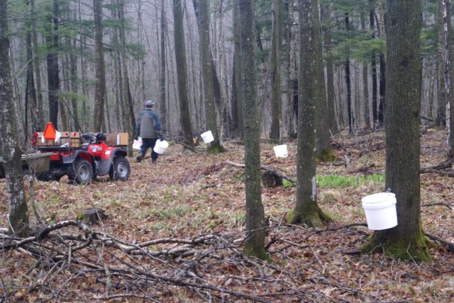 ...and collecting buckets.