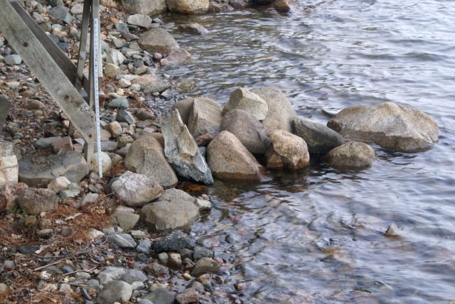 The lake is up to -19.75 inches WRT the nail!  More rain is predicted everyday this week as this is written.  I hope we get some.