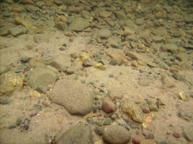 The water level is down (slightly), cold, and very clear.  This image was taken in only about 2 feet of water, but you get the picture.