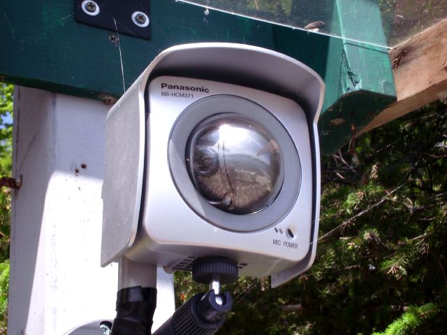 The webcam is performing well.  I plan to hook up some speakers next week and look forward to hearing comments live on the dock.  I'll post it on the front page when the speakers are up.