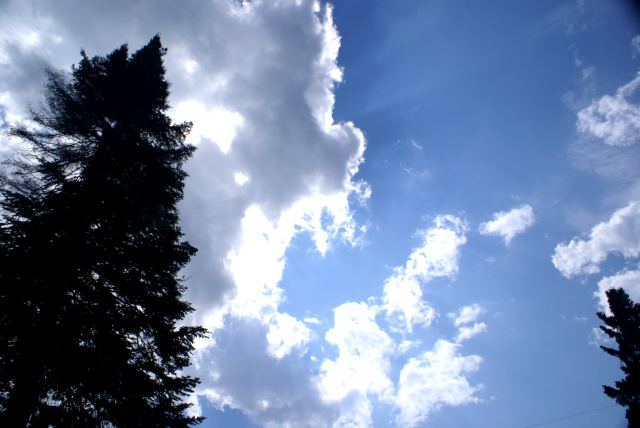 When the sun was out, it was hot and hide ripping.  For much of the week we used liquid burka (anything SPF 30 or more) to keep sunburn at bay.