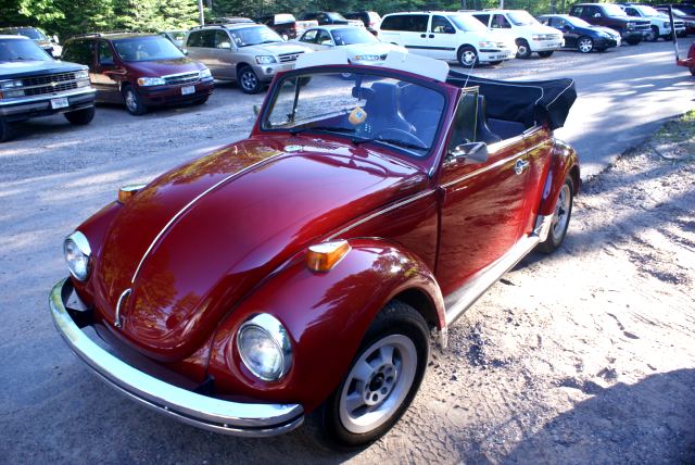 The bugs are out in the northwoods.  A few are friendly and cool like this one.  Most are pests and out for (your) blood.  The best advice I can give is bring DEET.  In 55 gallon barrels.