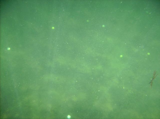 The clear water made diving for golfballs easy and fun.  The water temperature, not so much.