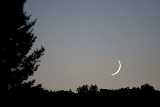 The nights are getting warmer.  The waxing moon means that they will also be getting brighter next weekend.  Please refrain from night skiing.  Or playing the recorder professionally.<br><br><br>-Nemo