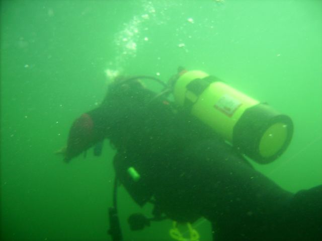 Mrs Nemo and I SCUBA dived on Sunday.  We only went to 17 feet while exploring some cribs.