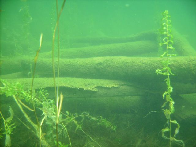 I was surprised to find the deeper cribs to be almost void of fish.