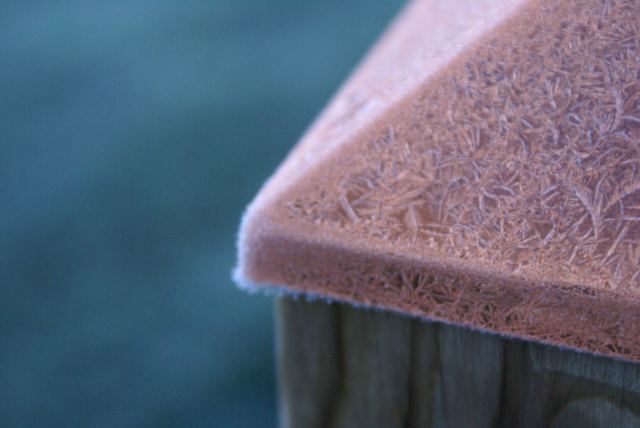 Frost!