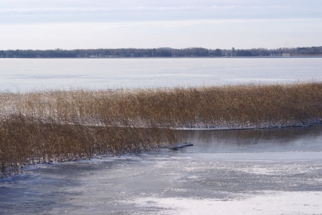 No frost was observed on Lake Metonga.  There were a few patches of open water, but it was frozen over for the most part.