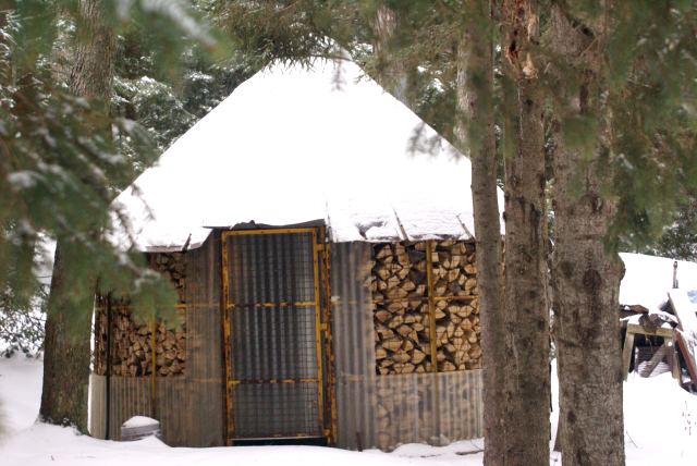 The sugar shack is packed full of wood.  No trees were tapped this weekend (that I saw).