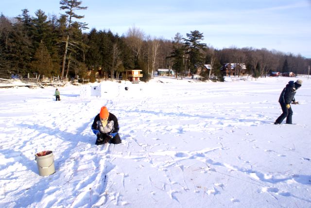 It took a while to pick them all up.  Oh, and it was very cold.