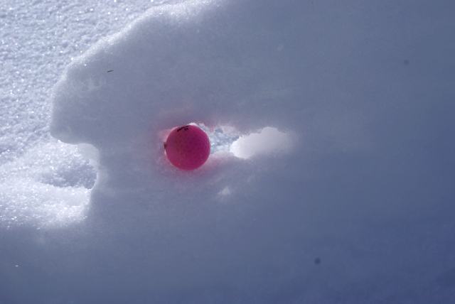 She even managed her first hole-in-one of the season.
