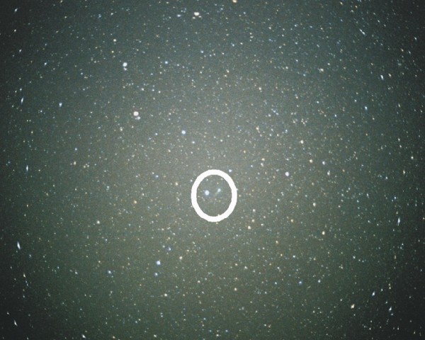 It's the greener one to the right in the circle.