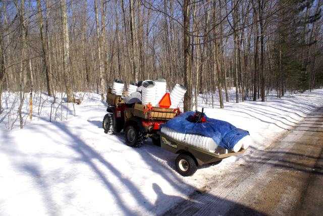 On Saturday morning, xxLt drove the first of two and half ATV  loads of buckets to the maples.