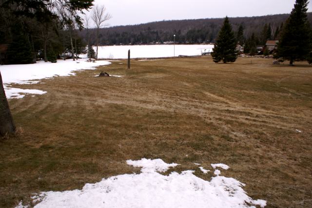 The first thing we noticed after stepping out of the car on Friday was the grass.  You can see it!  It needs cutting!  The snow is clearly in retreat.