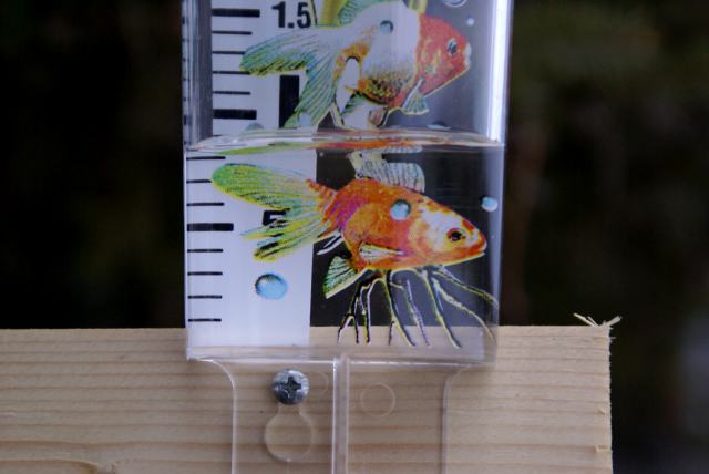 Good news everybody!  The new rain gauge (it can be seen live if you pan the webcam all the way to the north) showed almost an inch of precipitation over last week.  The inflows we checked are trickling in at best, but that's better than last weekend when they were bone dry.  29 inches to go.