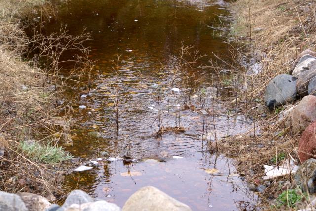 By late Saturday morning, the rain had stopped.  All the creeks and streams feeding into the lake, which were dry 2 weeks ago, were full of flowing water.