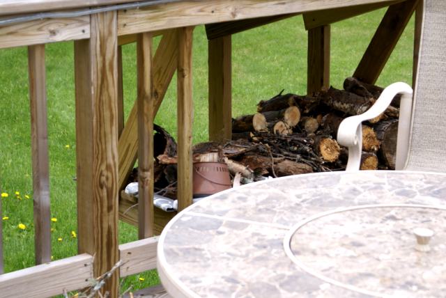 On Friday night, a bird was yelling at us while we had a small fire on the bar's deck.  Later we found that she had built a nest in the firewood overhang.