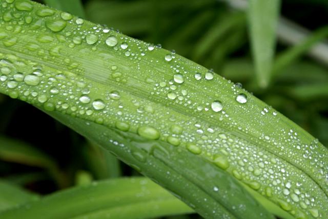 Lake Lucerne