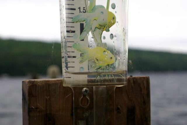 On Saturday morning (6/27) the lake got 0.2 inches of rain.  It's a start but we need much, much more.