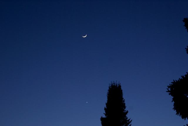 A thin slice of the moon and a bright Venus graced the Friday evening sky just after sunset. (Venus is the dot just to the left of the center Pine).