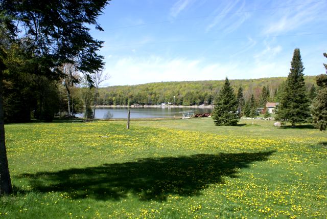 Saturday evening was filled with haunting loon sounds. Sunday was filled with the drone of lawn mowers. Last week's snow put off mowing for many, including us.  The weekend was the perfect time to prune the vast grassland that was the northeastern corner of the lake.