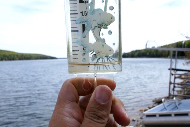 About 0.2 inches of rain last week.  That's better than none, but not much better.
