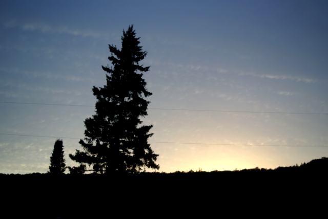 The first summer week of 2010 started as you would expect with sun, rain, heat and...
